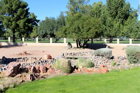 Desert Jewel Backyard View 2