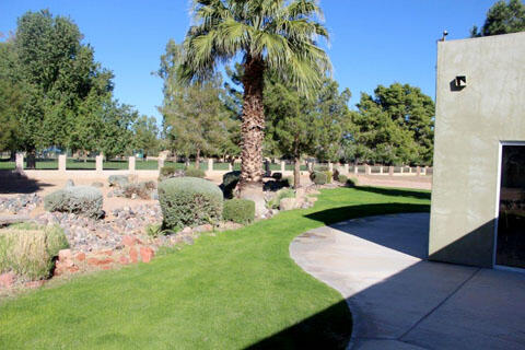 Desert Jewel Backyard and Walkway